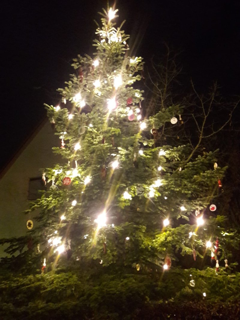 Der Wengerohrer Weihnachtsbaum